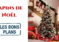 Sapins de Noël les Bons Plans