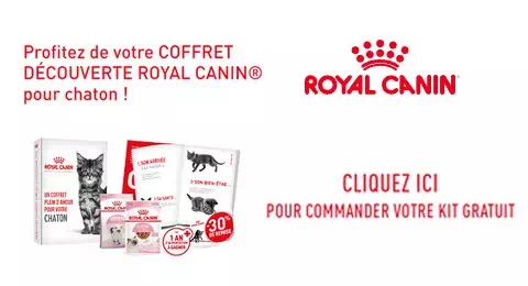 Royal Canin Offre Gratuite : Coffret Découverte pour Chaton Royal Canin Offert