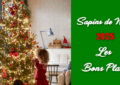 Sapin de noel 2025 Les Bons Plans
