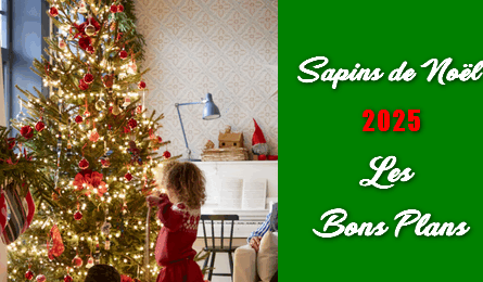 Sapin de noel 2025 Les Bons Plans