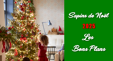 Sapin de noel 2025 Les Bons Plans