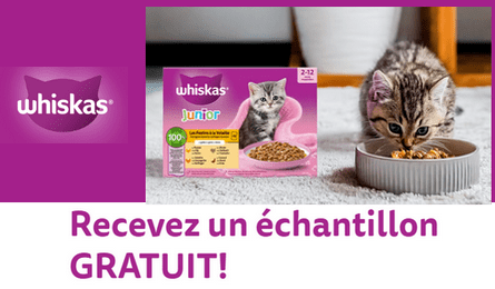 Échantillon Gratuit Whiskas : Sachet Fraîcheur WHISKAS pour Chaton Poulet en Gelée Whiskas