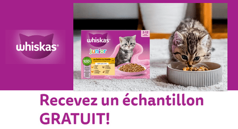 Échantillon Gratuit Whiskas : Sachet Fraîcheur WHISKAS pour Chaton Poulet en Gelée Whiskas