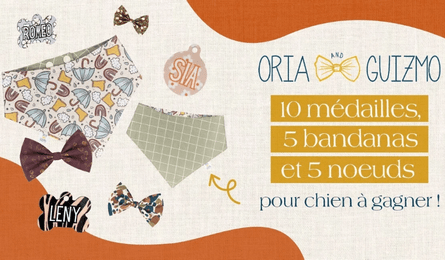 Jeu concours Oria & Guizmo des Médailles personnalisées des bandanas et des noeuds pour chien ou chat à Gagner