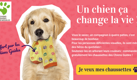 Association Chiens Guides d'Aveugles : Votre Paire de Chaussettes Offertes