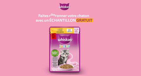 Échantillon Gratuit Nourritures pour Chat Whiskas
