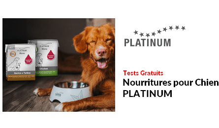 Tests Produits PLATINIUM Nourritures pour Chien PLATINUM