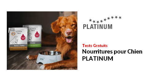 Tests Produits PLATINUM : Nourritures pour Chien PLATINUM