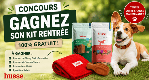 Concours Gratuit Husse Gagnez son kit de rentrée