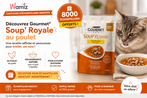 Test Gratuit Nourritures pour Chat : Gourmet Soup’ Royale au poulet 8000 échantillons Offerts